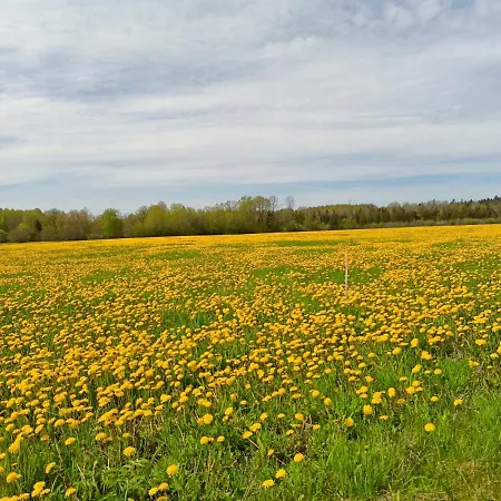 Aadniel's Village 別荘