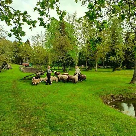 Aadniel's Village Puhkemaja