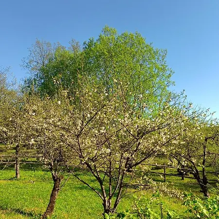 Aadniel's Village 別荘