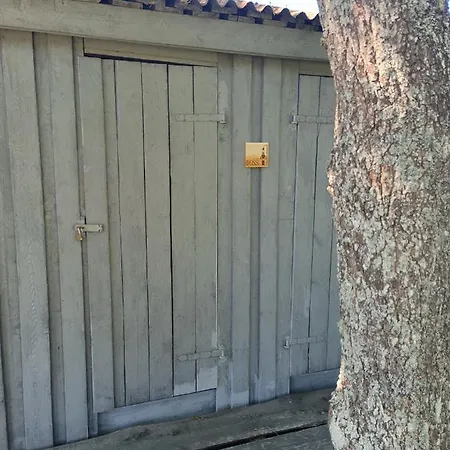 Дом отдыха Aadniel's Holiday Village Aula