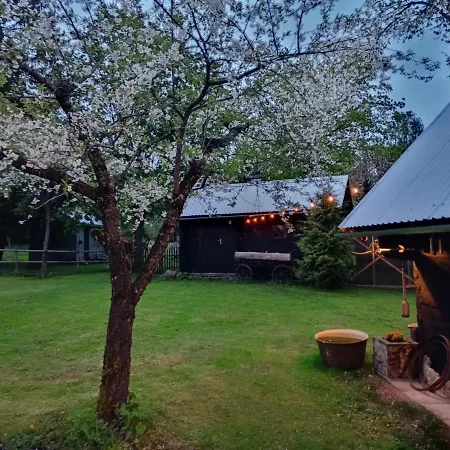 Aadniel's Holiday Village Дом отдыха *