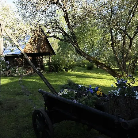 Aadniel's Holiday Village *