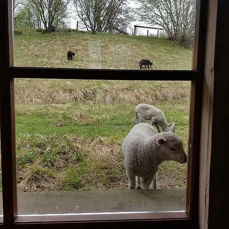 Aadniel's Holiday Village Дом отдыха Aula