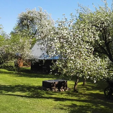 Дом отдыха Aadniel's Holiday Village Aula