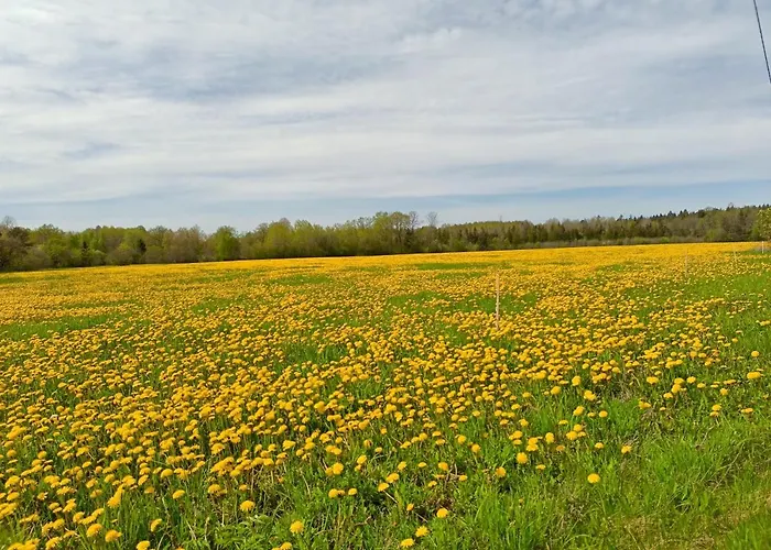 Aadniel's Village 펜션