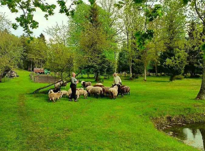 Aadniel's Village 펜션