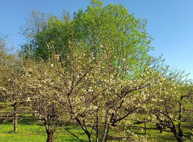 Aadniel's Village 度假居