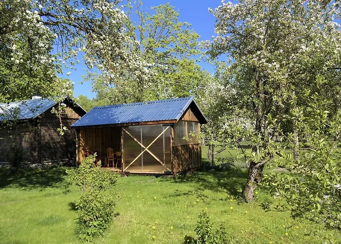 Aadniel's Village * Aula