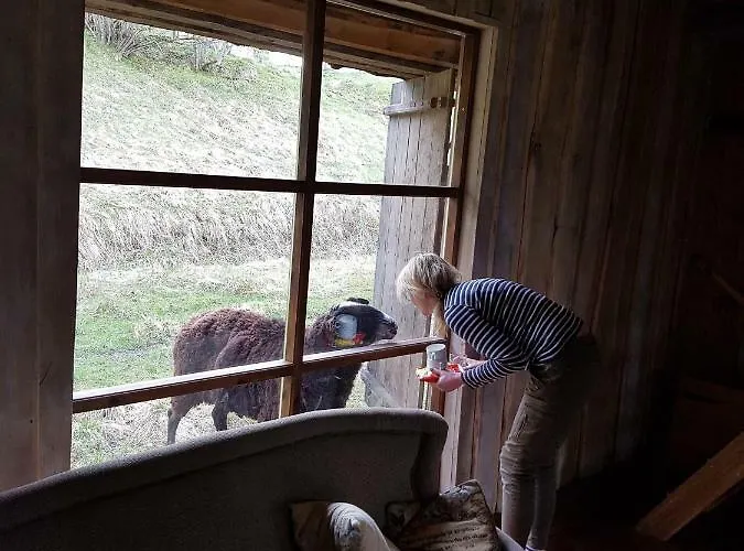 Aadniel's Village * Aula