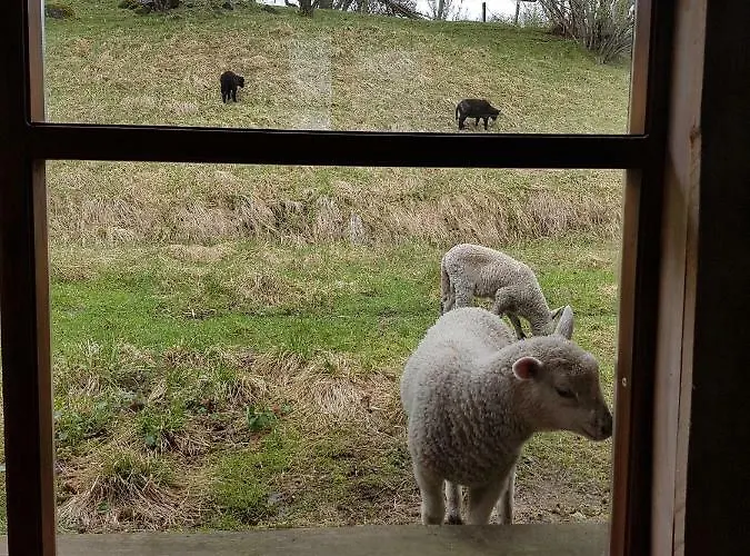 Aadniel's Village 度假居 Aula