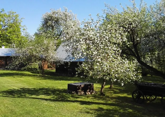 度假居 Aadniel's Village Aula